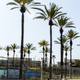 Illustration for article titled Long Beach Is Full Of All The Fast Cars